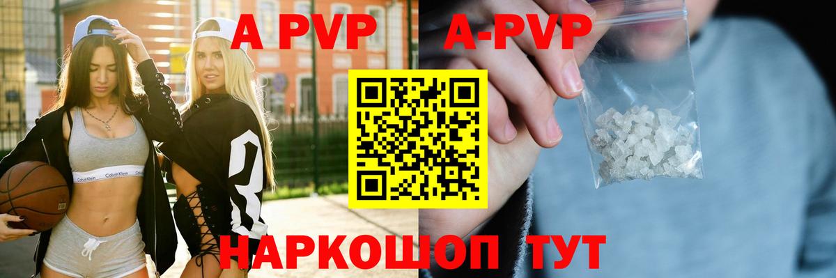 A PVP СК КРИС Новороссийск