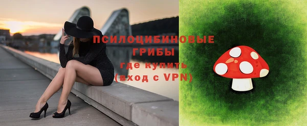стафф Алексин