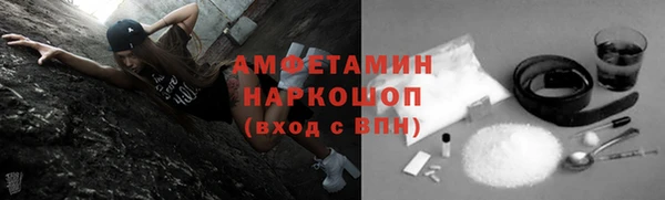 стафф Алексин