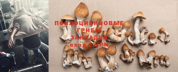 спайс Алзамай