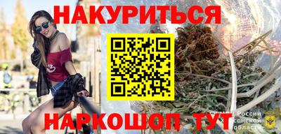 тгк Гай