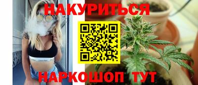 тгк Гай