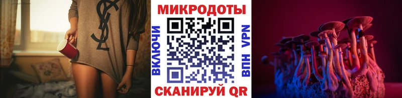 Галлюциногенные грибы Magic Shrooms  Новороссийск 