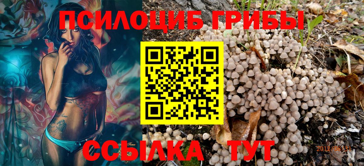 Псилоцибиновые грибы Psilocybine cubensis Новороссийск