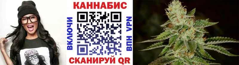 где купить наркоту  Новороссийск  Каннабис планчик 